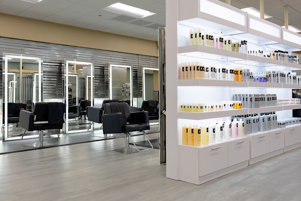 Atelier Salon view 5