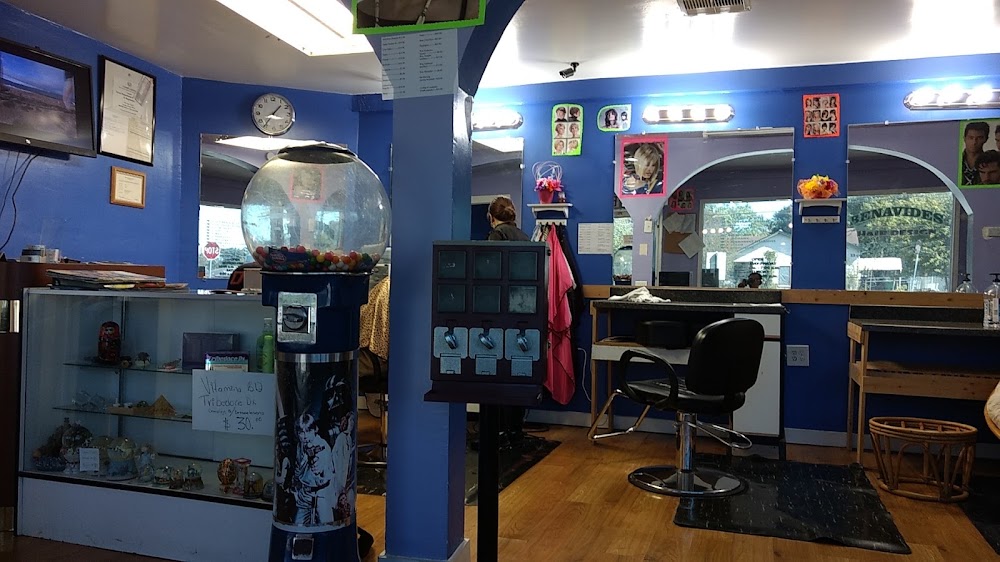 Benavides Hair Design primary photo