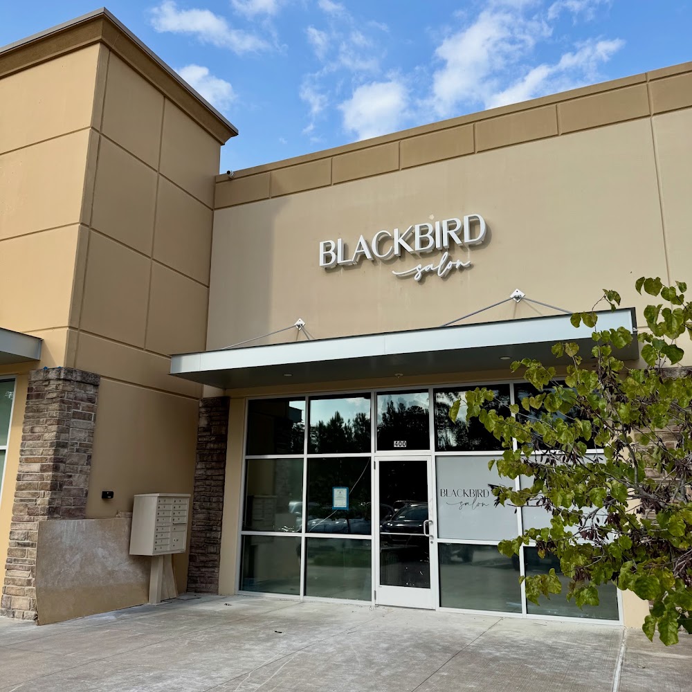 Blackbird Salon view 4