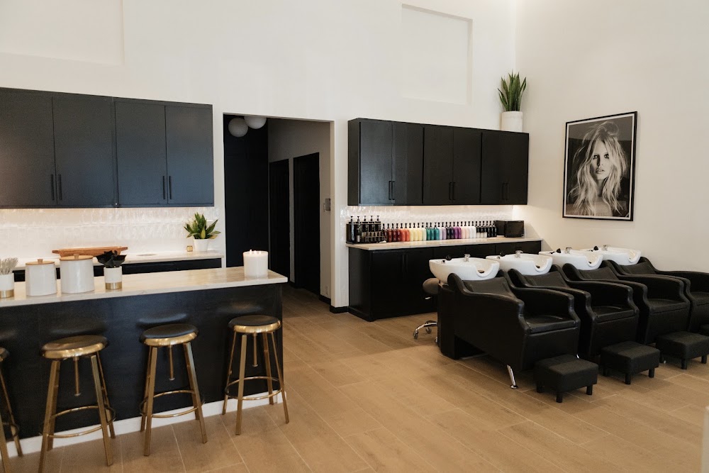 Blackbird Salon view 5