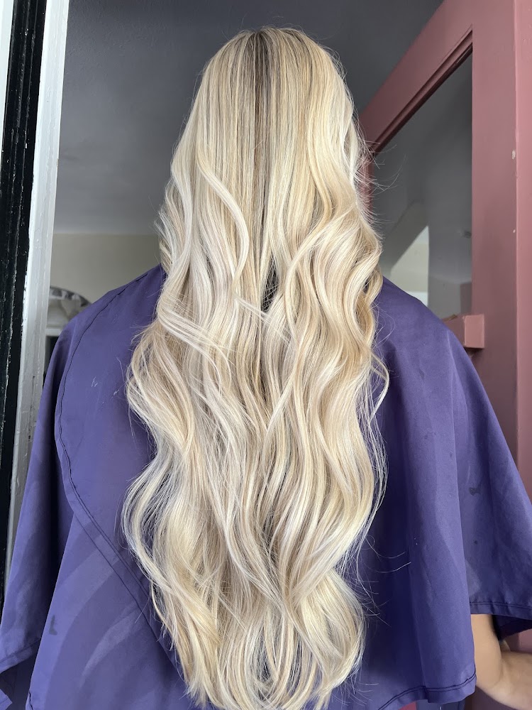 Bloodroot Salon view 4