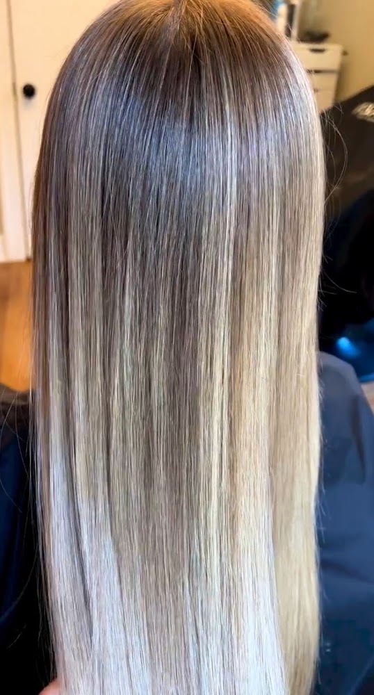 Bloodroot Salon view 5