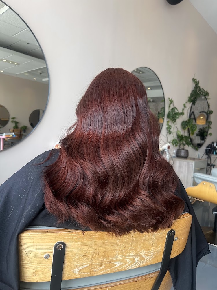 Capelli salon Frisco primary photo