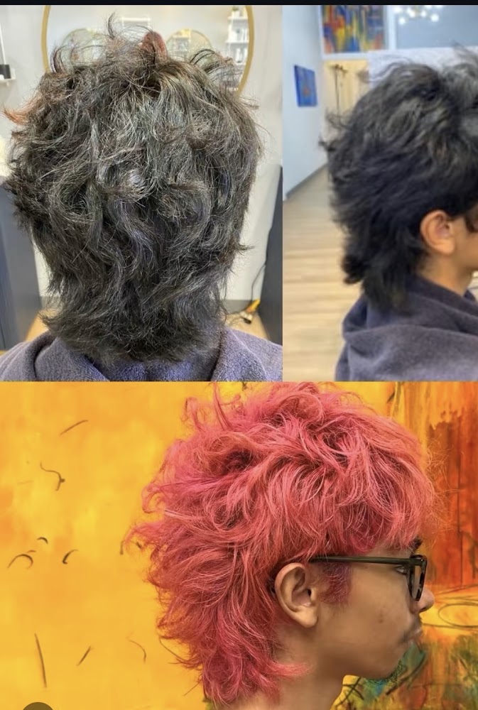 Chairez Salon view 2