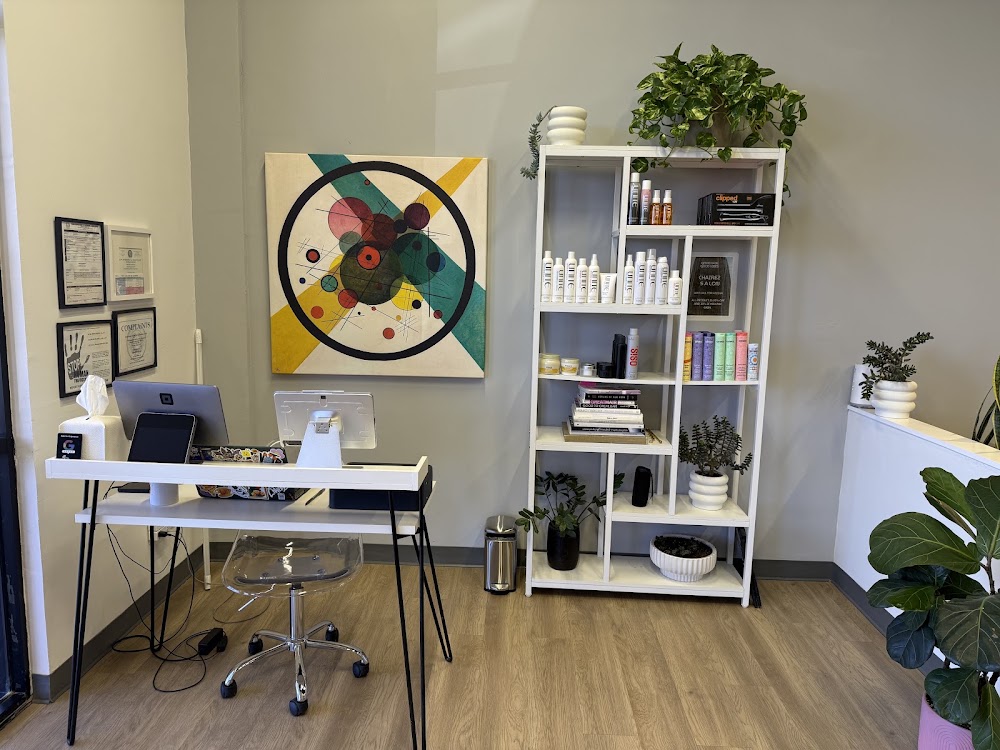 Chairez Salon view 5