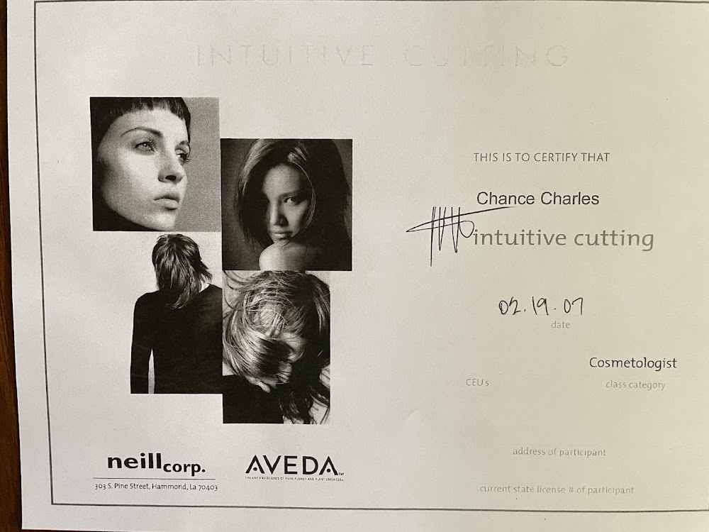 Chance Charles Salon view 4