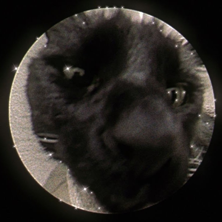 Classic Image Salon view 5