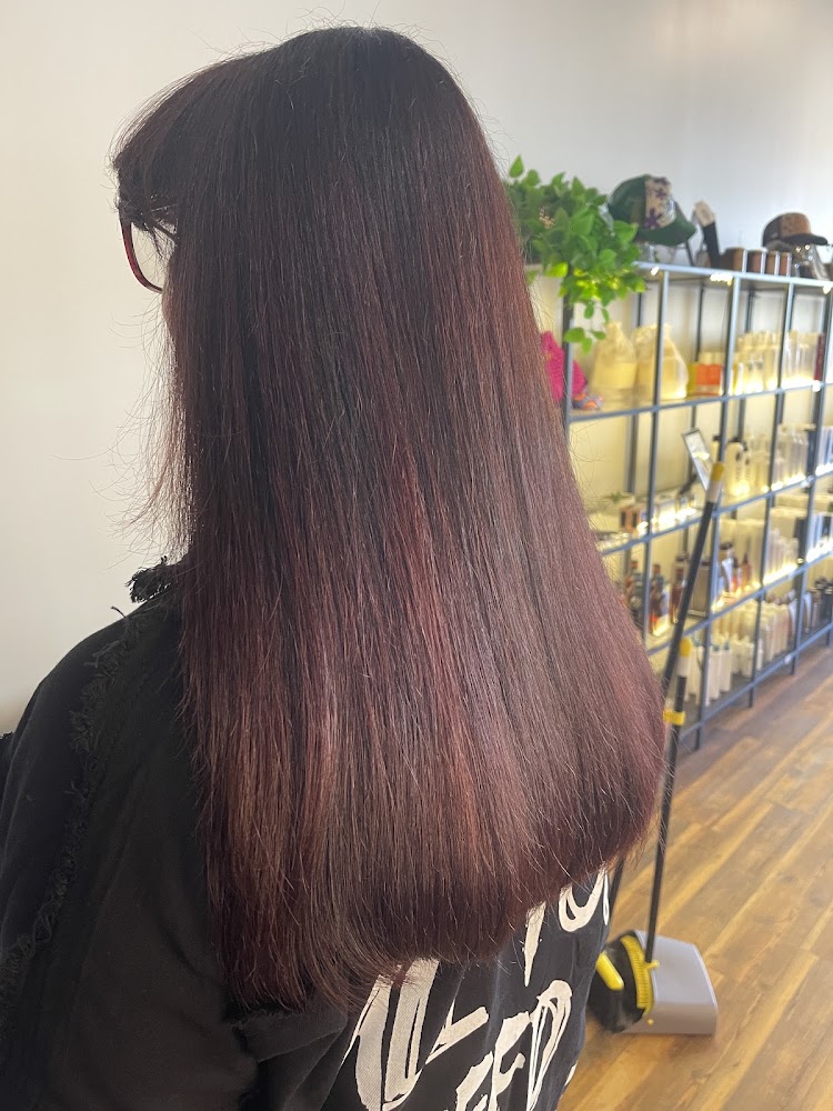 Craig Piatti Salon view 5