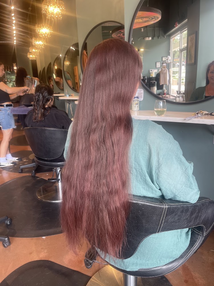 Deep Roots ATX Salon, 360 view 2