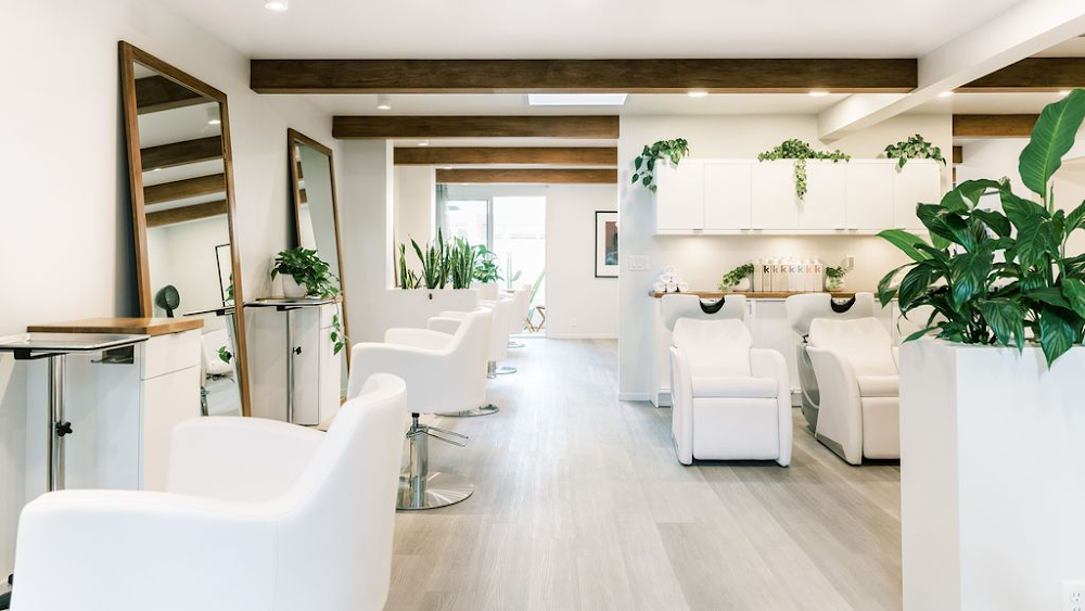 DeMillan Salon view 5