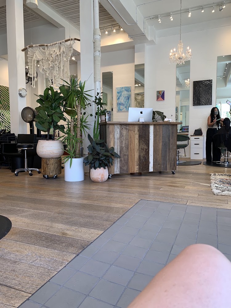 Edo Salon view 2