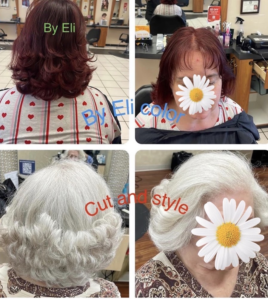 Elideli Hair Salon view 5