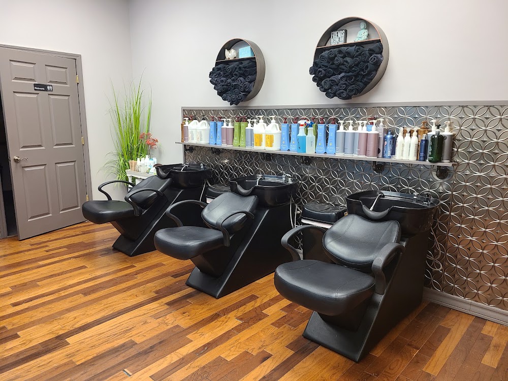 Fringe Salon view 2