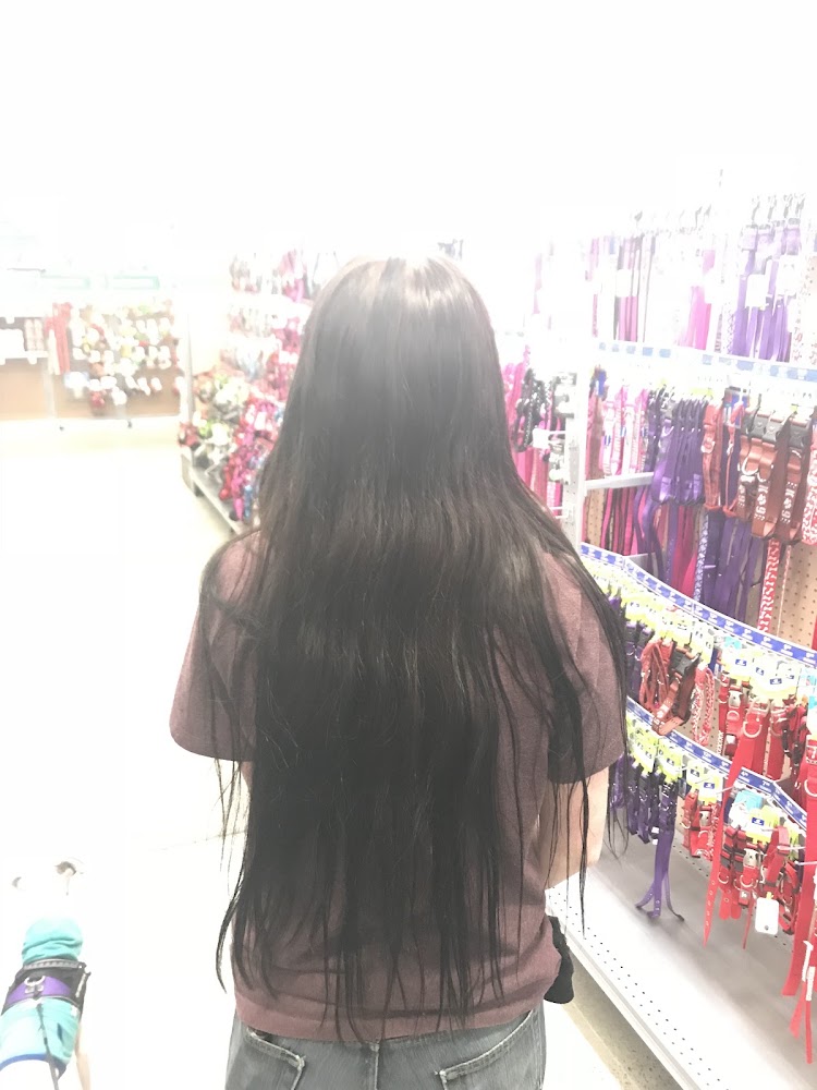 Fringe Salon view 4