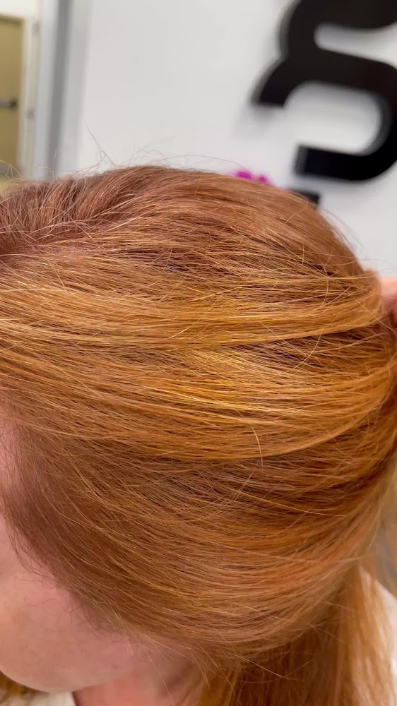 Got Hair? Color Salon view 5