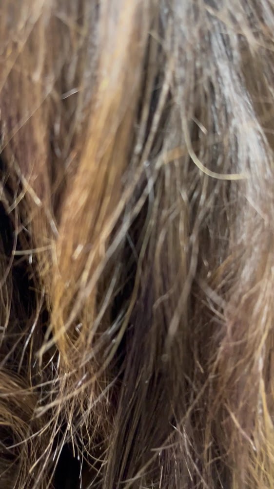 Hair by Lana Miers view 2