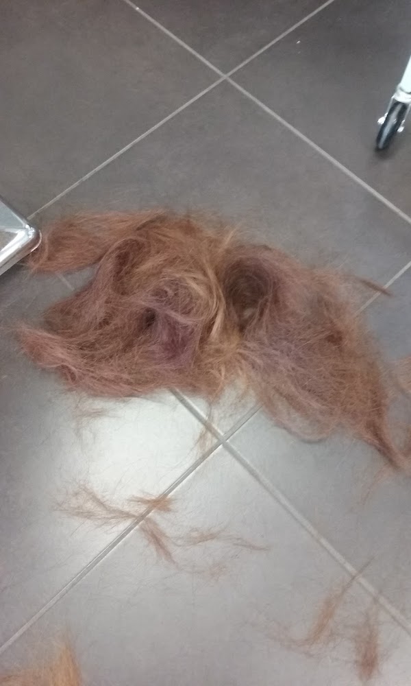 Hair Trendz Salon primary photo