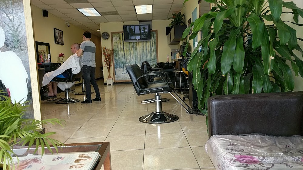 Hair Volution view 3