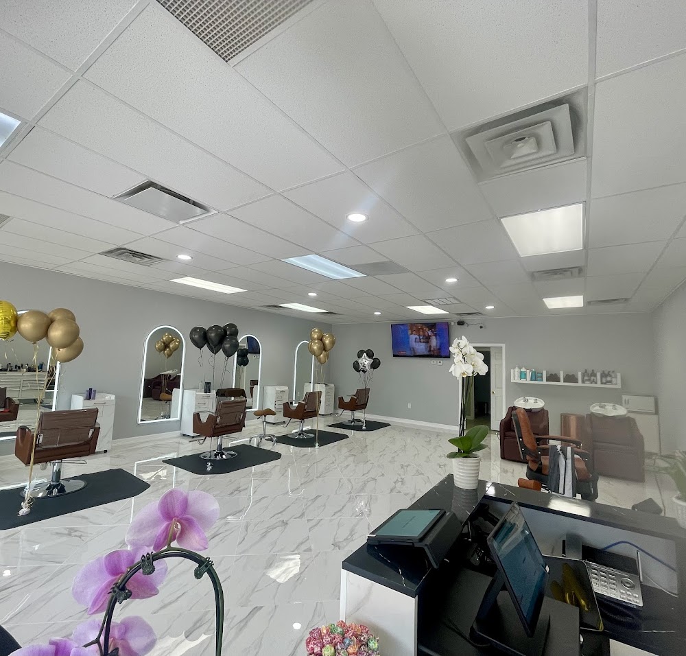Ideal Salon view 3
