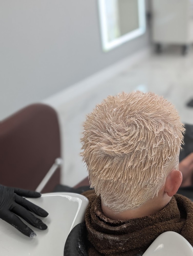 Ideal Salon view 4