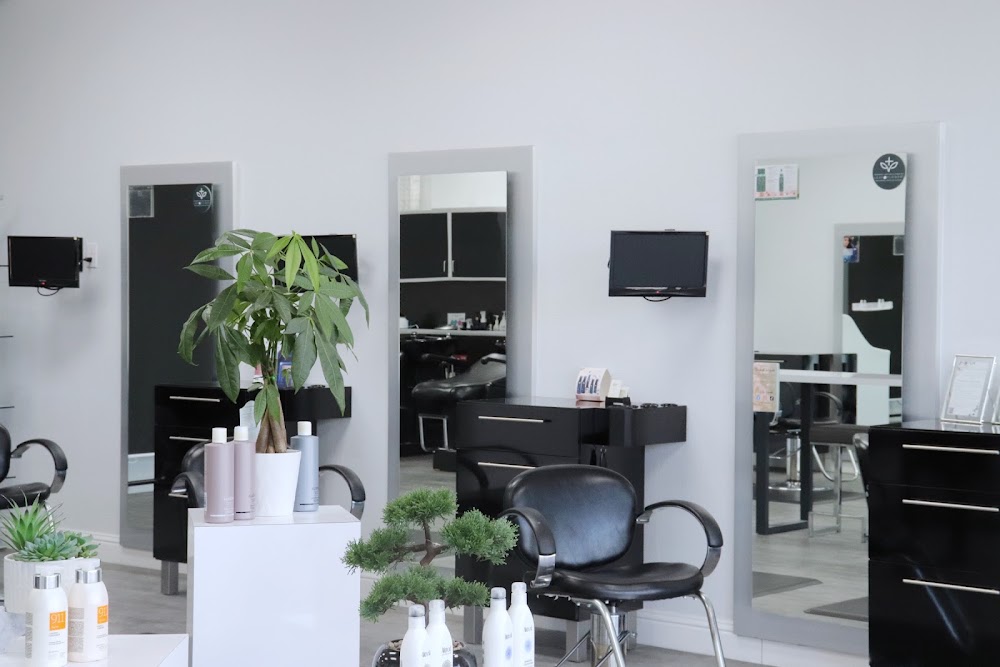 ILLUSION SALON view 4