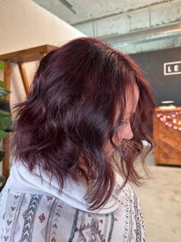 Lewis & Co. Salon primary photo
