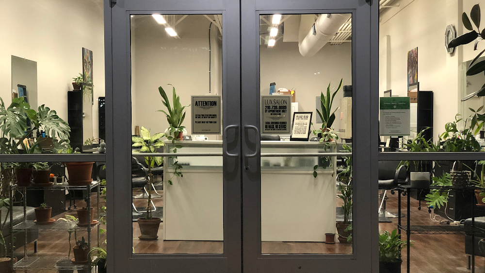 Lux Salon view 3