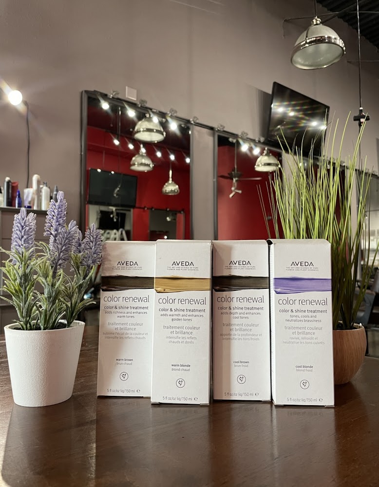 Luxe Aveda Concept Salon view 3