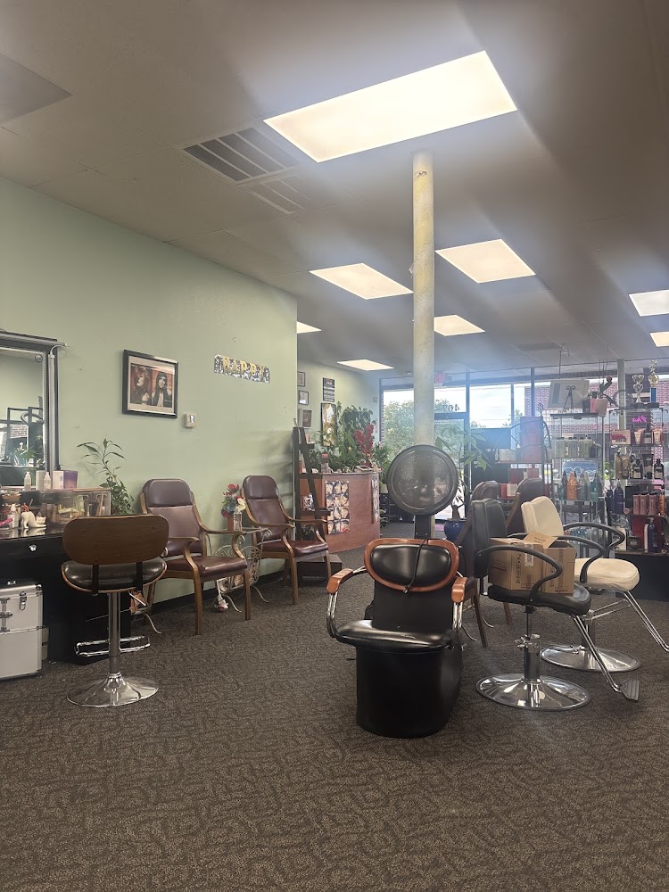 Mercedes Salon view 4