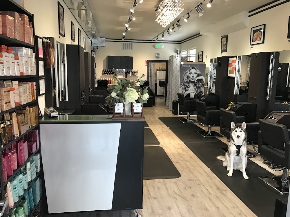 ML Hair Studio view 3