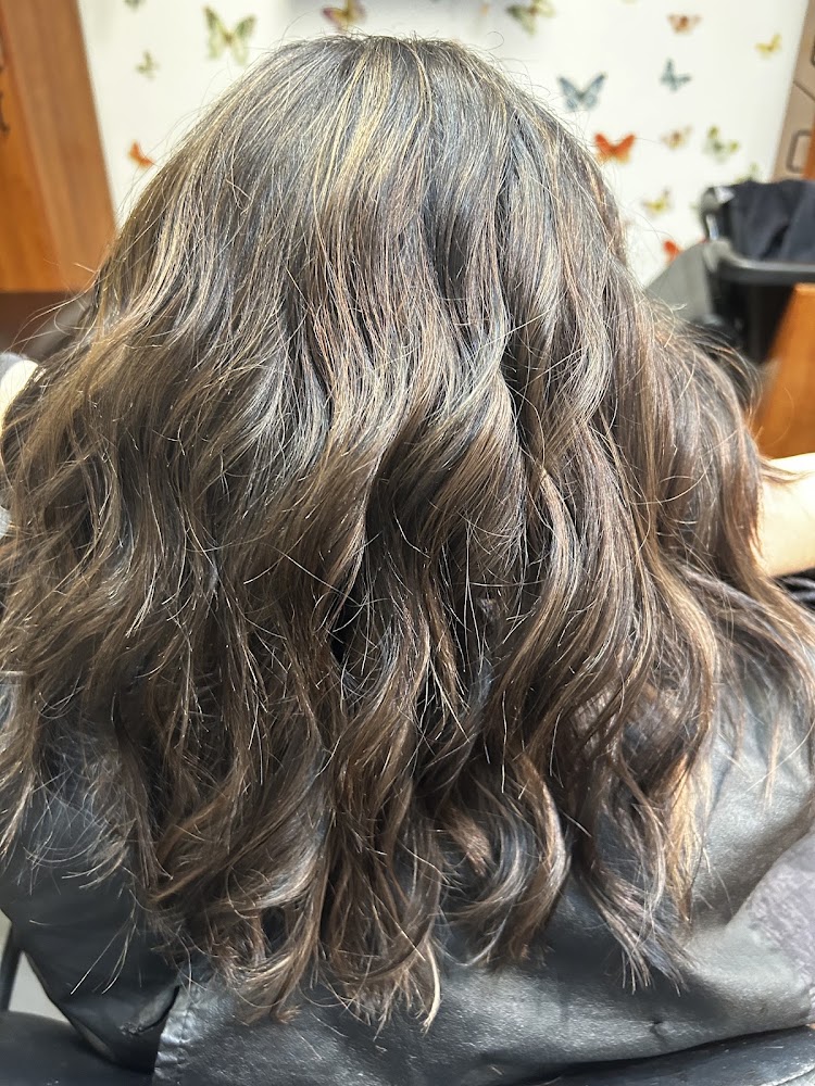 Modish Salon Professional LLC primary photo