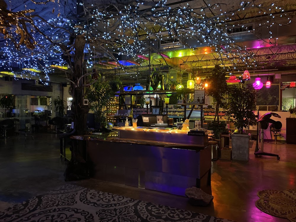 Moxie Hair Salon and Spa view 2