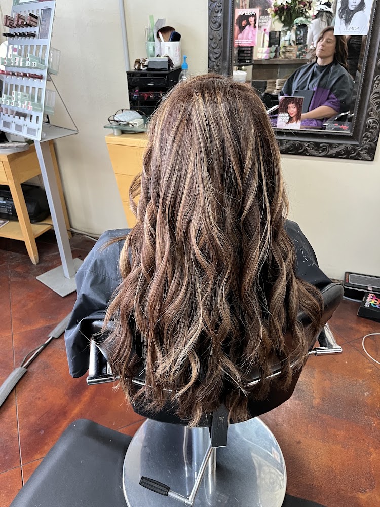 Natural Bliss Aveda Salon view 4