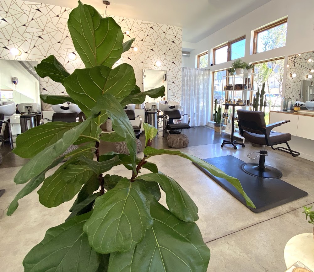 Nova Hair Collective view 4