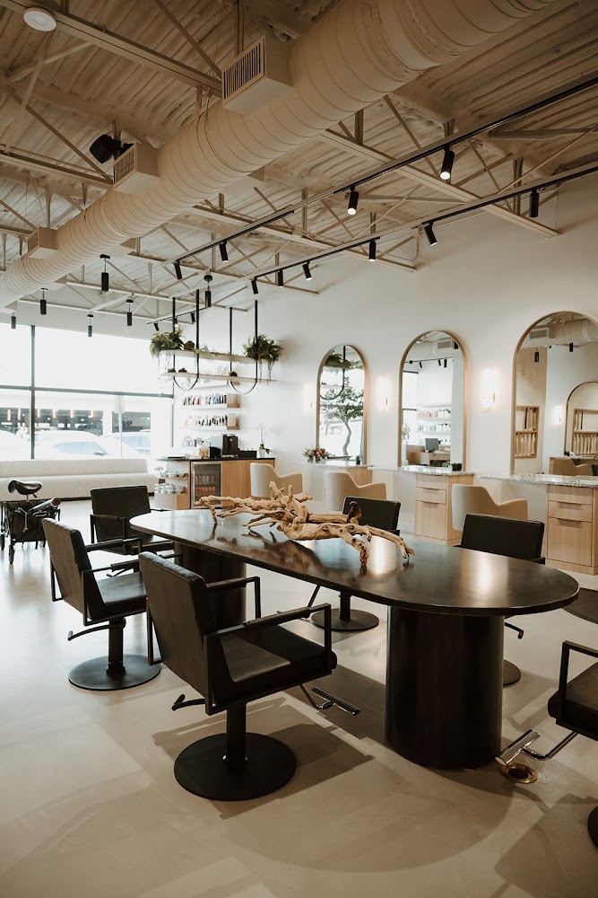 One Studio Salon primary photo