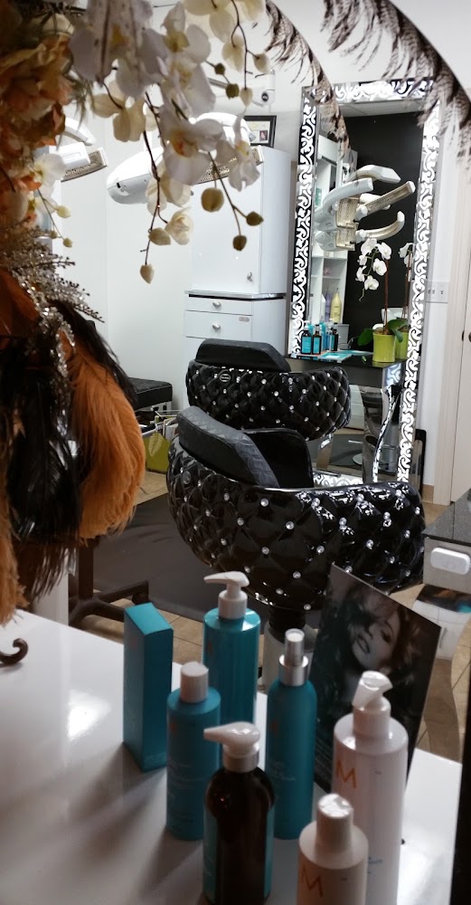 Oscar Sabha Salon view 4
