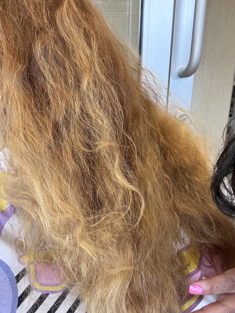 Palma Hair Studio primary photo