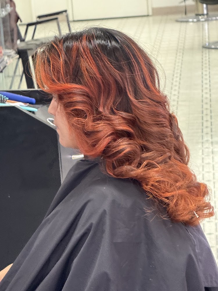 Paloma Hair Salon view 4