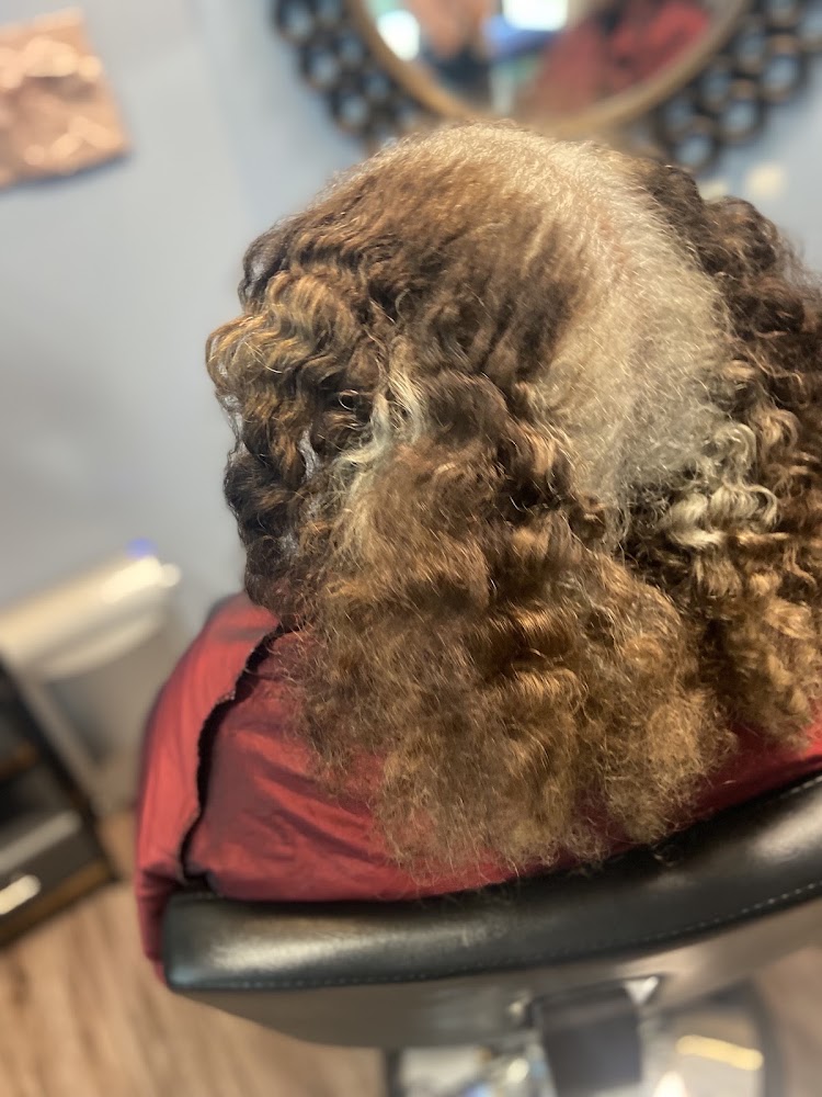 Platinum FX Hair Salon_ The Original view 4