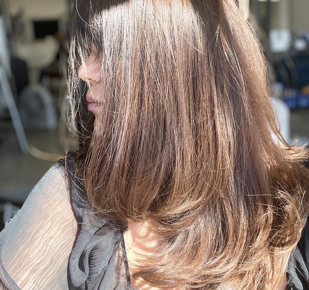Posh Salon view 4