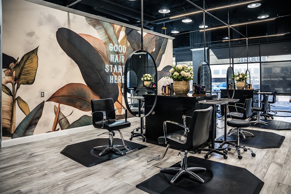 Salon Di Lusso primary photo