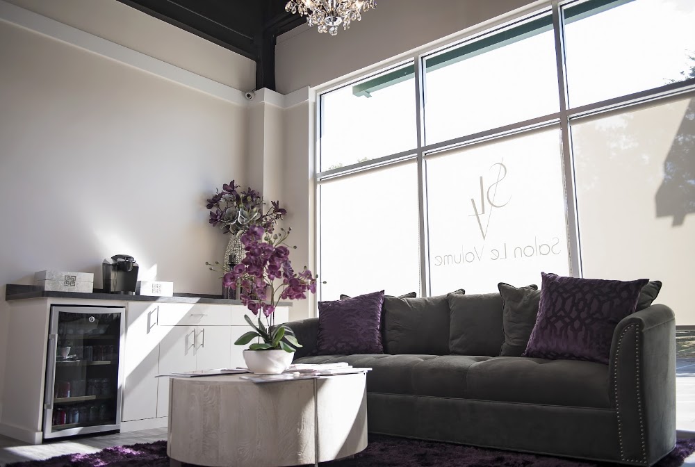 Salon Le Volume view 4