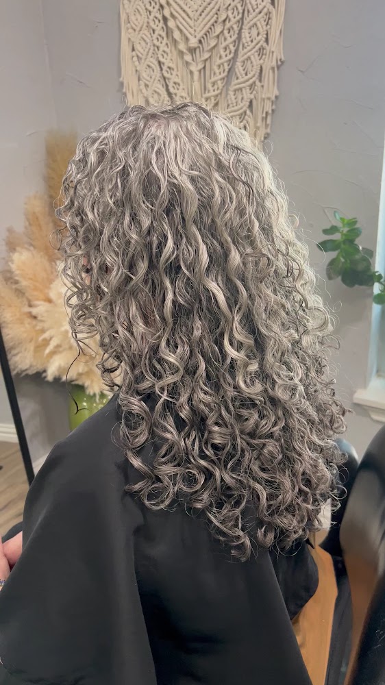 Salon One 21 view 3