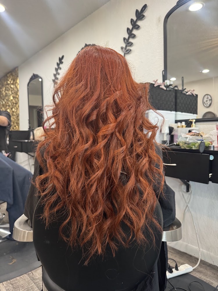 Salon V view 5