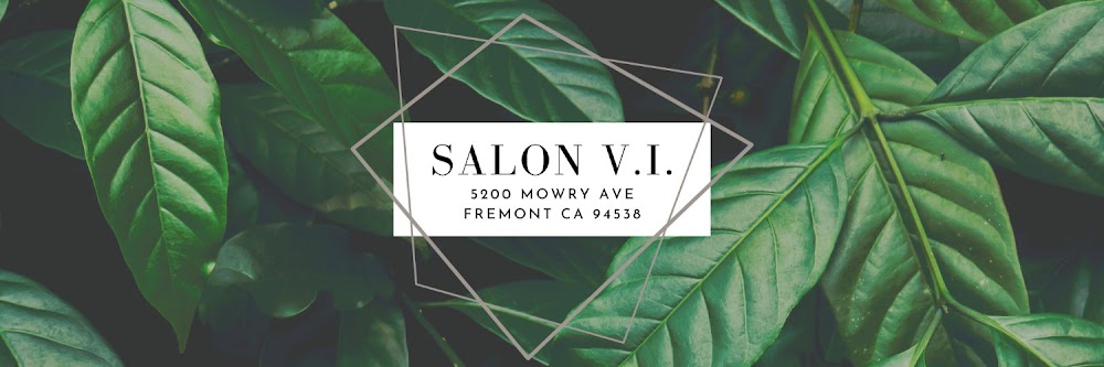 Salon V.I. primary photo