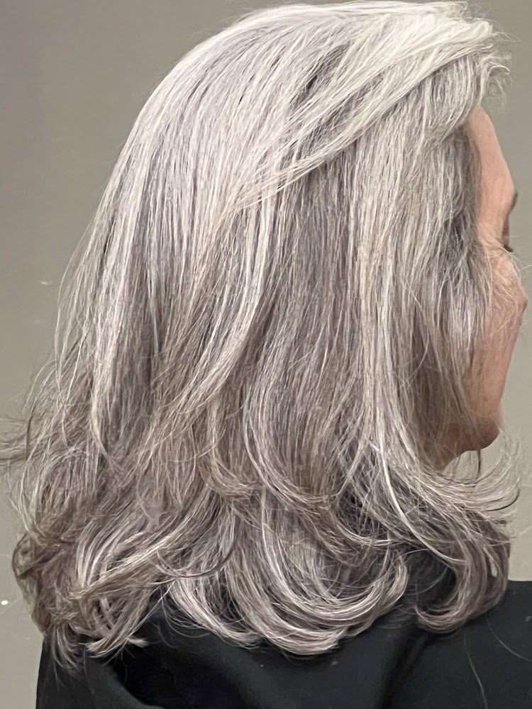 Salon V.I. view 5