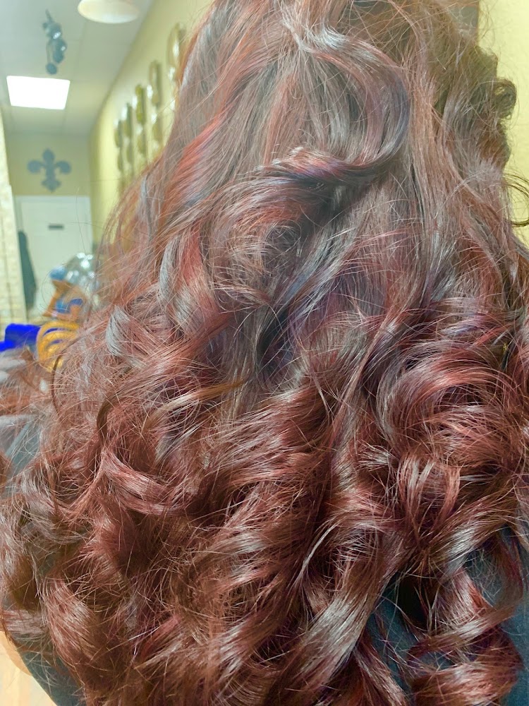 Sase Salon view 5