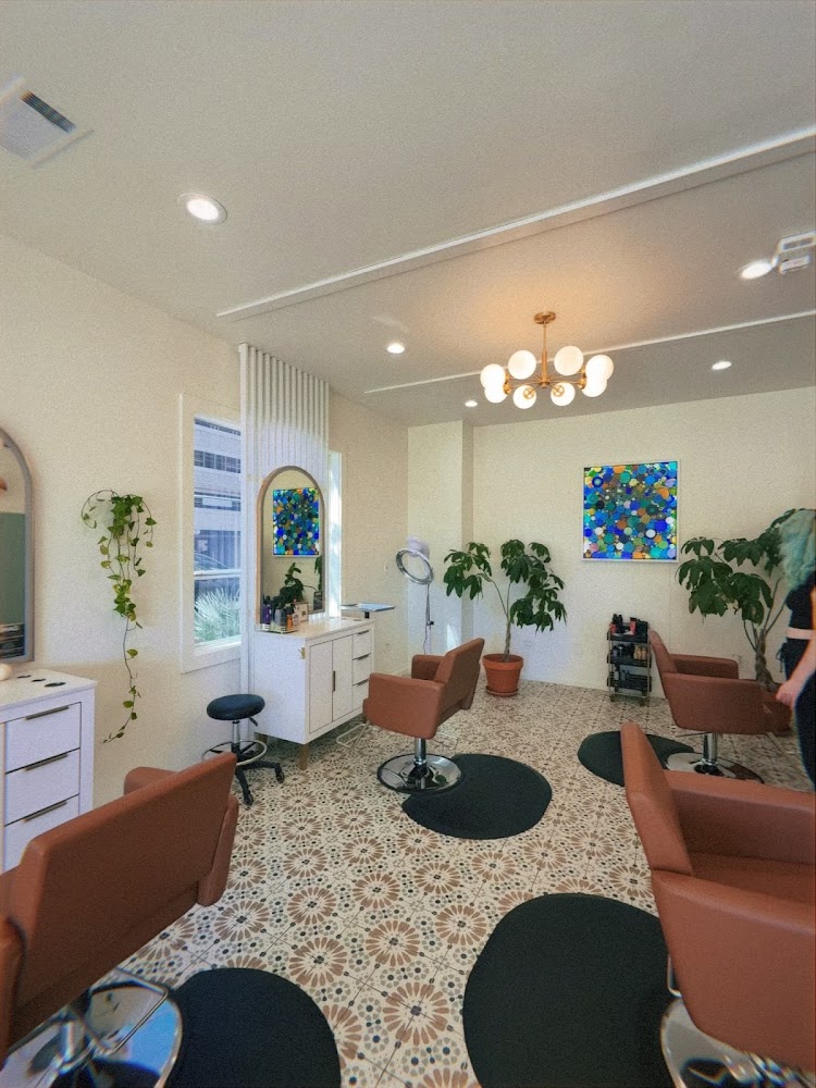 Shag Salon view 3