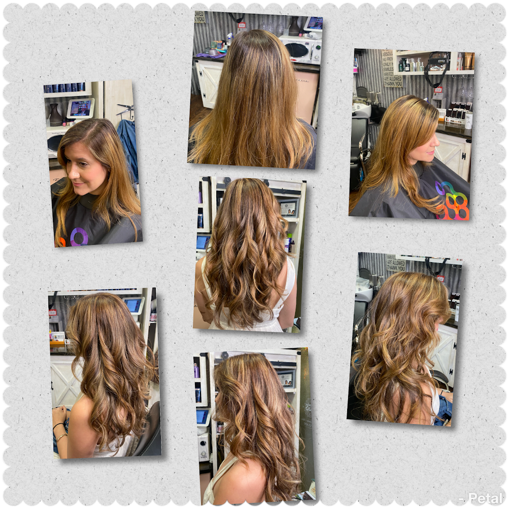 Shear Genius Salon primary photo