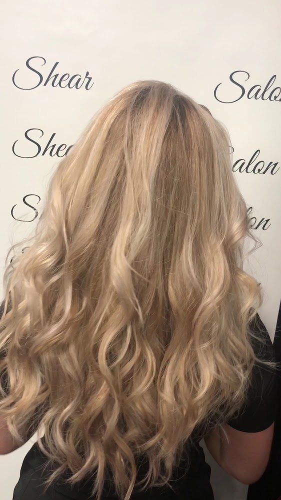 Shear Genius Salon view 2
